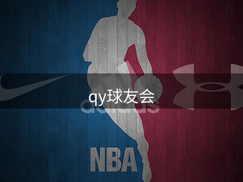 网站承诺